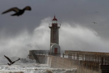 Fırtınalı dalgalar Douro nehri ağzındaki deniz fenerine ve rıhtıma sıçradı.
