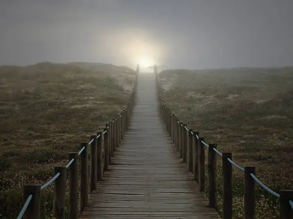 Holzsteg Über Eine Düne Meer Weg Die Sonne Den Sommer lizenzfreie Stockbilder