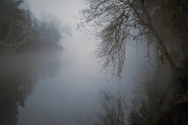 mysterieuze en beangstigend rivier in een mistige nacht 