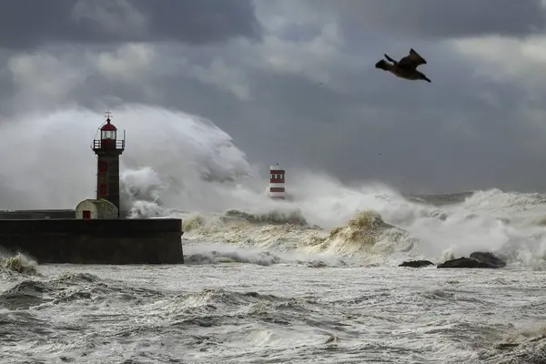 Douro River Mouth First Big Storm Year Wind Gusts Reach Stock Image