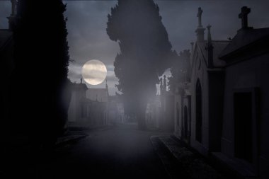 Puslu bir dolunay gecesi ya da eski bir Avrupa mezarlığında alacakaranlık