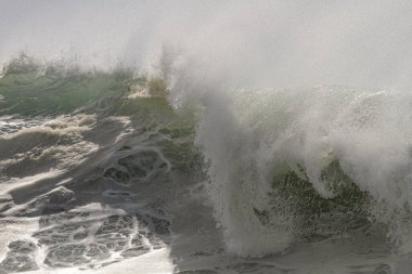 Büyük, dalgalı, okyanus yeşili bir dalganın tepesinde.
