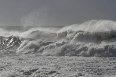 Rüzgâr spreyiyle fırtınalı dalgalar. Kuzey Portekiz kıyıları.