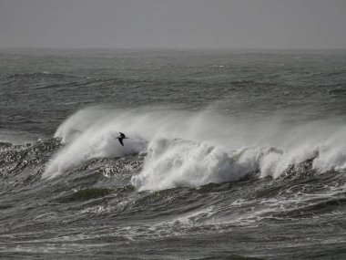 Fırtınalı ama güneşli bir günde fırtınalı dalgalar kopuyor. Kuzey Portekiz kıyıları.
