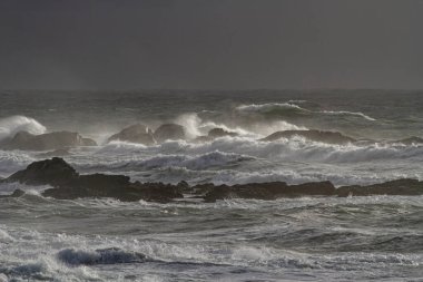 Kış, alacakaranlıkta dalgalı deniz. Kuzey Portekiz kayalık kıyıları.