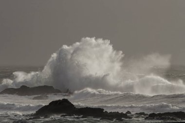 Deniz dalgası sıçraması. Kuzey Portekiz kayalık kıyıları. Kış akşamı ışığı.