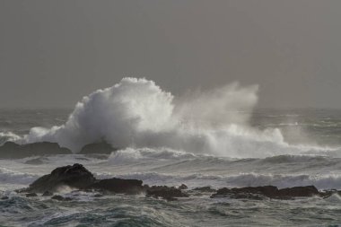Deniz dalgası sıçraması. Kuzey Portekiz kayalık kıyıları. Kış akşamı ışığı.