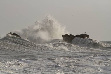 Deniz dalgası sıçraması. Kuzey Portekiz kayalık kıyıları. Kış akşamı ışığı.