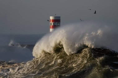 Fırtınalı bir günde, Douro nehrinin ağzında Portekiz 'in kuzeyinde büyük bir kırılma dalgası görüyorum..