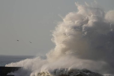 Güneşli bir günde büyük, fırtınalı bir dalga sıçraması. Douro nehri ağzı, Portekiz 'in kuzeyinde..
