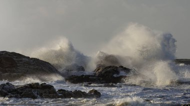 Fırtınalı deniz dalgaları kuzey Portekiz sahillerinden gün batımında kayaları kırıyor..