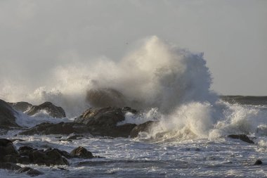 Fırtınalı büyük dalga sıçraması. Kuzey Portekiz kayalık kıyıları.