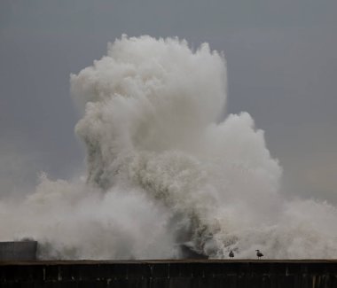 Büyük fırtınalı deniz dalgası sıçraması. Douro nehri ağzı, Porto, Portekiz.