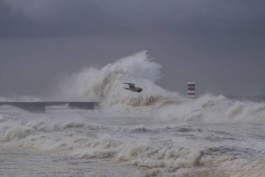 Douro nehri ağzı kış fırtınası sırasında, Porto, Portekiz 'in kuzeyinde..