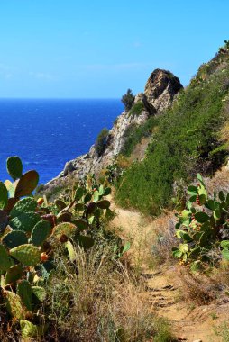 Capo vaticano Calabria İtalya 'da sulanır