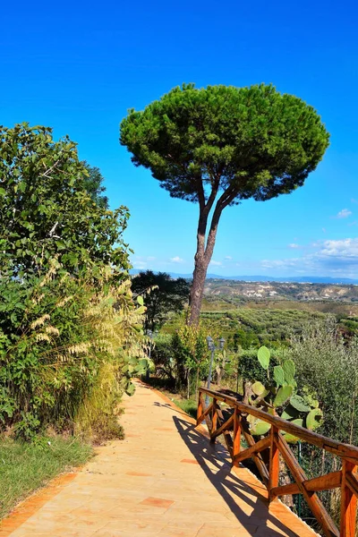 stock image path leading to the Zungri Caves: Rock settlement vibo valentia calabria italy