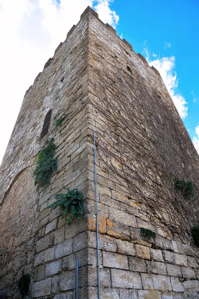 Κάστρο Της Λομβαρδίας Και Πύργος Pisan Enna Sicily Italy — Φωτογραφία Αρχείου