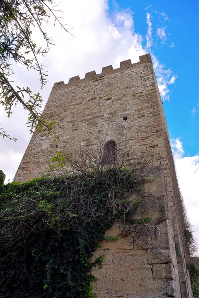 Castello Lombardia Torre Pisana Enna Sicilia Italia — Foto Stock