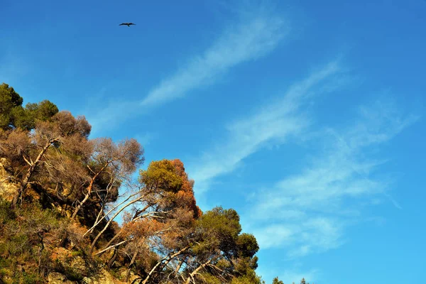 Arenzano Ceneviz İtalya kıyı manzarası