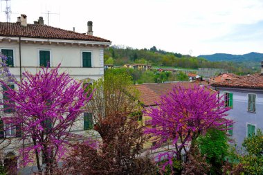 Millesimo Savona İtalya 'nın panoraması