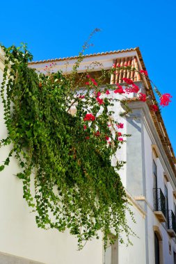 Algarve Portekiz 'deki karakteristik evler