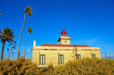 Ponta da Piedade Deniz Feneri (Portekizce: Farol da Ponta da Piedade), Portekiz 'in Algarve bölgesinde yer alan bir deniz feneridir. 1913 'ün ortalarında çalışmaya başladı.