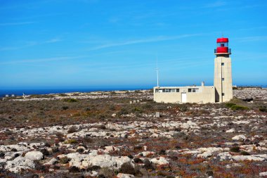 Ponta de Sagres 'in deniz feneri Algarve Portekiz kalesinin yanında.