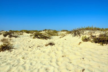 Ilha de Tavira plajı, Algarve, Portekiz