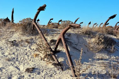 Praia do Barril 'deki Tavira Adası' nda bulunan çapa mezarlığı.