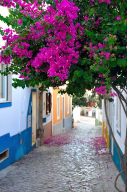 Ferragudo 'daki bougainvillea Portekiz' de küçük bir balıkçı köyü.