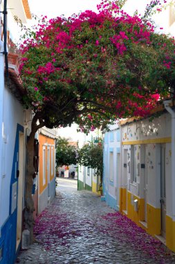 Ferragudo 'daki bougainvillea Portekiz' de küçük bir balıkçı köyü.