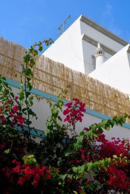 the old town in olhao algarve portugal