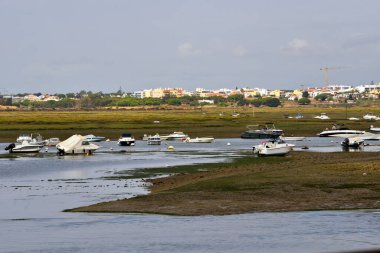 Rio Formosa Doğal Park Faro Algarve Portekiz