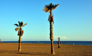 Bolnuevo Murcia İspanya plajı