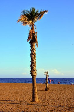 Bolnuevo Murcia İspanya plajı