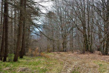 Giarolo Dağı, Alessandria, Piedmont, İtalya 'ya yürüyüş yolu