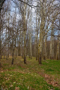 Giarolo Dağı, Alessandria, Piedmont, İtalya 'ya yürüyüş yolu