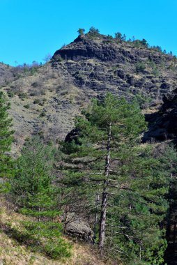 Val Gargassa: Beigua Park 'taki kanyon, Cenova, İtalya