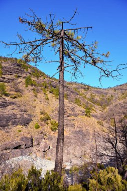 Val Gargassa: Beigua Park 'taki kanyon, Cenova, İtalya