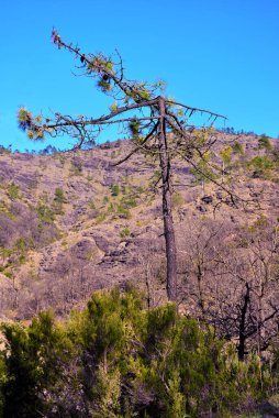 Val Gargassa: Beigua Park 'taki kanyon, Cenova, İtalya