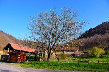Val Gargassa: Beigua Park 'taki kanyon, Cenova, İtalya