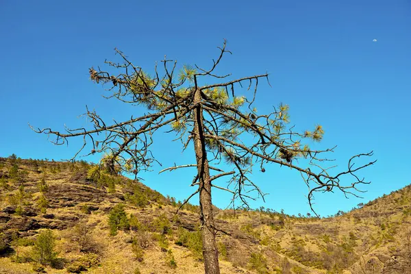 Val Gargassa: Beigua Park 'taki kanyon, Cenova, İtalya