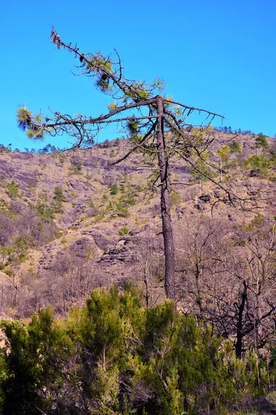Val Gargassa: Beigua Park 'taki kanyon, Cenova, İtalya