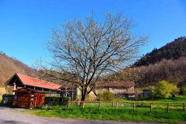 Val Gargassa: Beigua Park 'taki kanyon, Cenova, İtalya