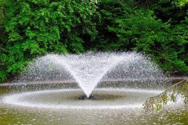 Villa Serra di Comago, Sant 'olcese Ceneviz İtalya yakınlarındaki Policevera Vadisi' nde bir mimari ve peyzaj kompleksi.