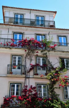 Lizbon, Portekiz 'in mimari ve kentsel manzarasının ortak ve karakteristik bir unsuru olan bougainvillea bitkileriyle süslenmiş balkonları olan bir bina.