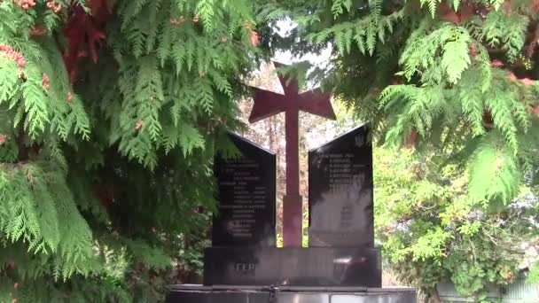 Kreuz Auf Dem Grab Für Die Soldaten Gedenkschild Für Die — Stockvideo