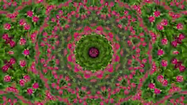 振奋人心的花卉背景 一种抽象的红色动人的植物背景 — 图库视频影像