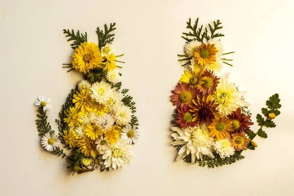 Kat Gemaakt Van Levendige Herfstbladeren Bloemen Geïsoleerd Witte Achtergrond — Stockfoto