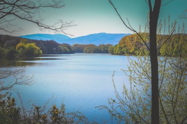 Etrafında ağaç ve gölet olan güzel bir bahar manzarası